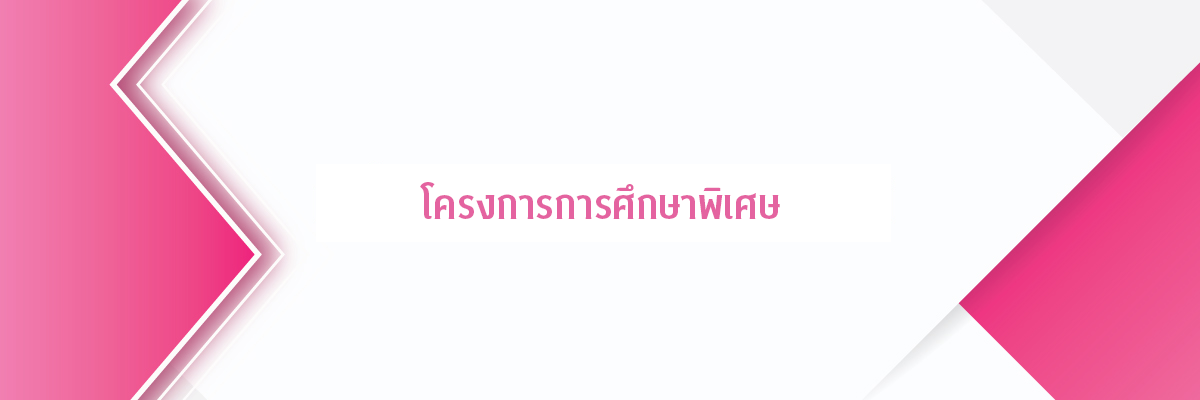 โครงการการศึกษาพิเศษ